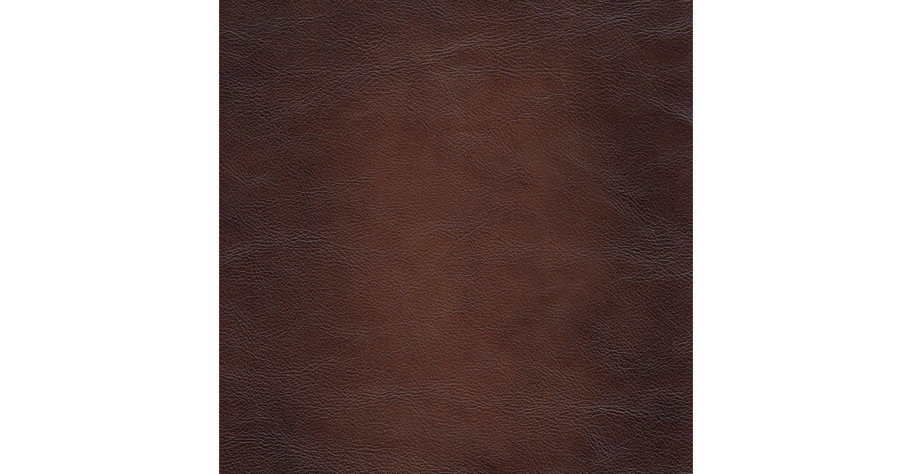 Albany Leather Sofa Collection, Caramel Brown