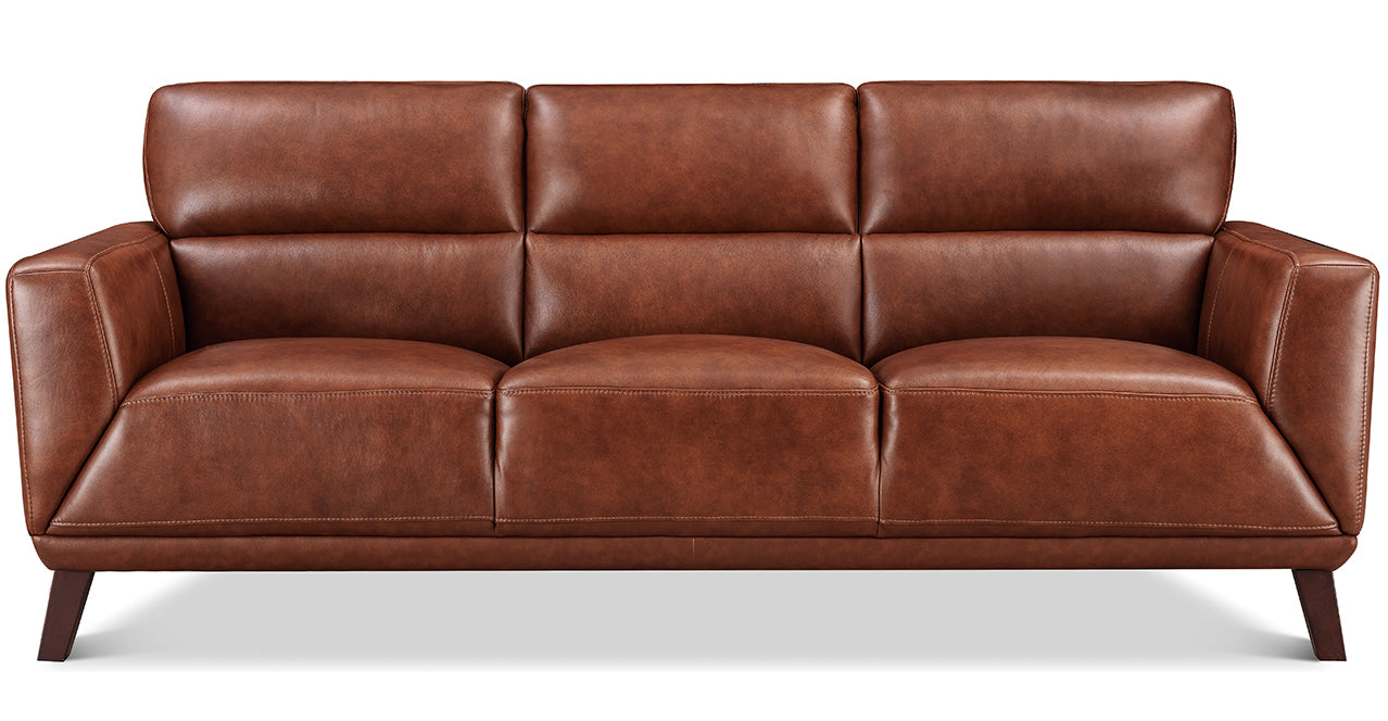Jake Leather Sofa Collection