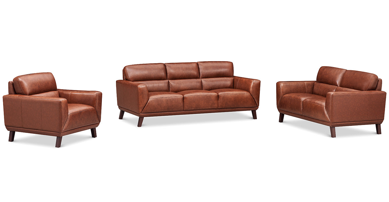 Jake Leather Sofa Collection