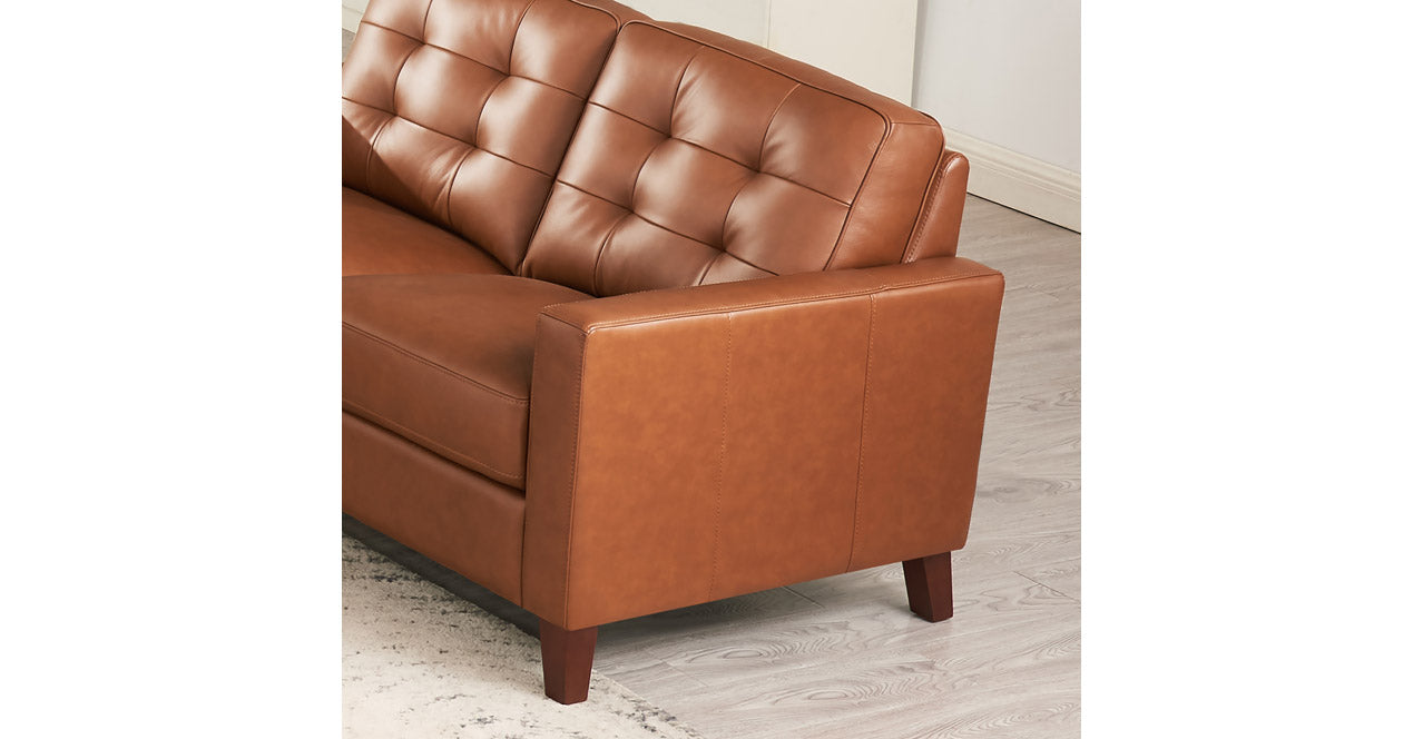 Aiden Leather Sofa Collection