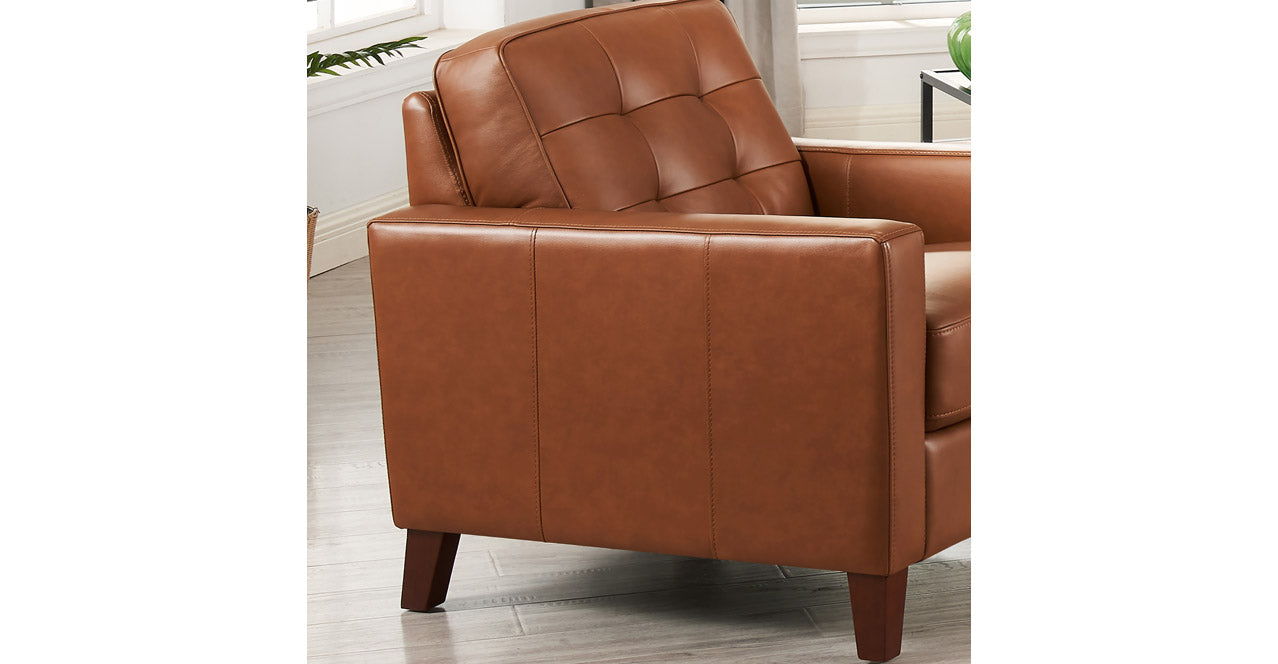 Aiden Leather Sofa Collection